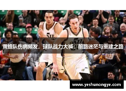 黄蜂队伤病频发，球队战力大减：前路迷茫与重建之路