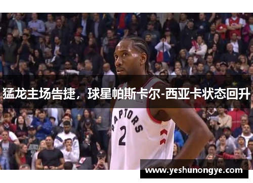 猛龙主场告捷，球星帕斯卡尔-西亚卡状态回升