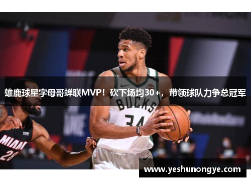 雄鹿球星字母哥蝉联MVP！砍下场均30+，带领球队力争总冠军
