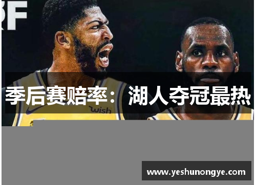 季后赛赔率：湖人夺冠最热