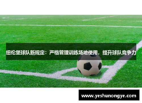 纽伦堡球队新规定：严格管理训练场地使用，提升球队竞争力