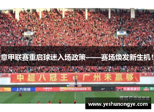 意甲联赛重启球迷入场政策——赛场焕发新生机！