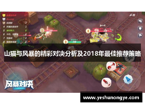 山猫与风暴的精彩对决分析及2018年最佳推荐策略