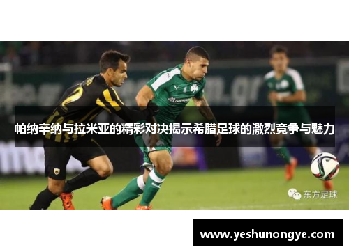 帕纳辛纳与拉米亚的精彩对决揭示希腊足球的激烈竞争与魅力