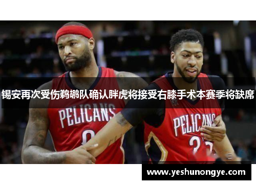 锡安再次受伤鹈鹕队确认胖虎将接受右膝手术本赛季将缺席