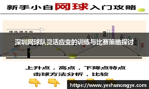 深圳网球队灵活应变的训练与比赛策略探讨