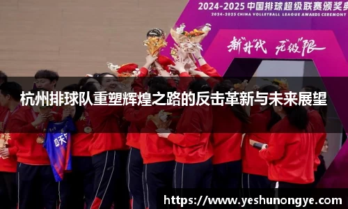 杭州排球队重塑辉煌之路的反击革新与未来展望
