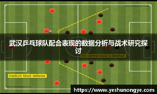 武汉乒乓球队配合表现的数据分析与战术研究探讨