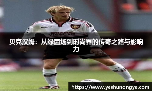 贝克汉姆：从绿茵场到时尚界的传奇之路与影响力